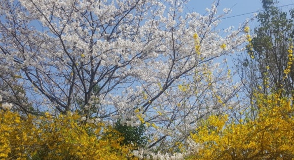 길목다방 이미지