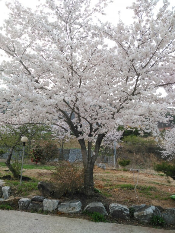 도혜당 이미지