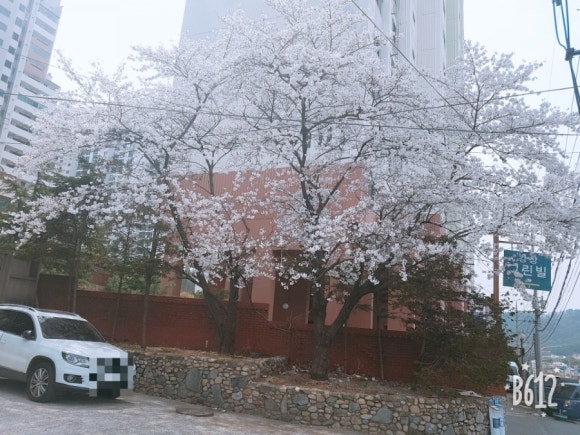 지에스락볼링장 이미지
