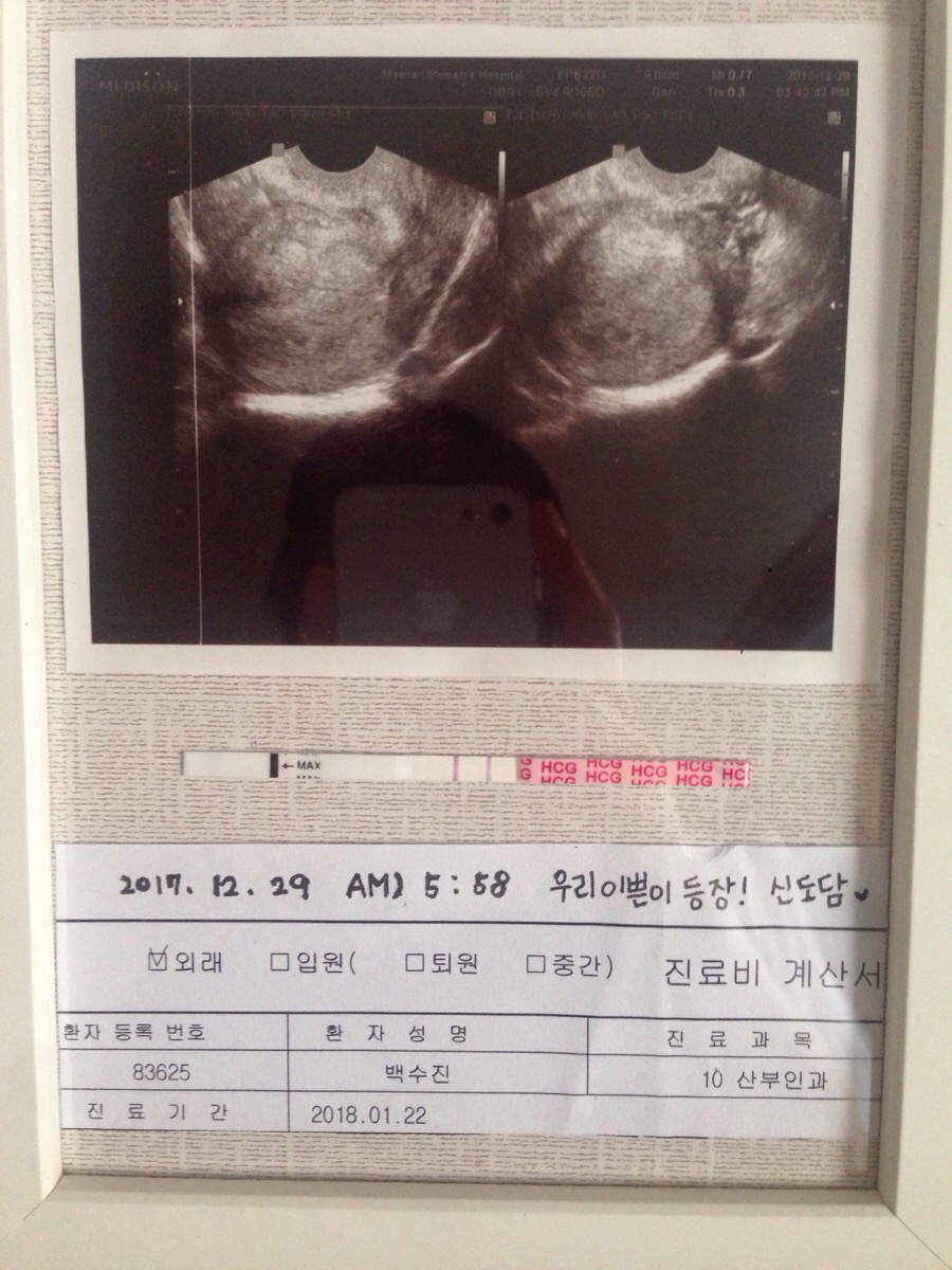 신도담 이미지