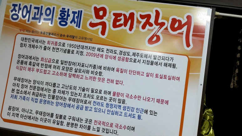 온양장어 이미지