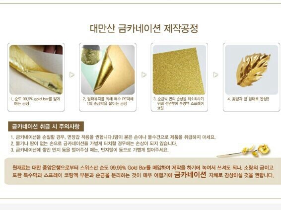 바이홀릭 이미지