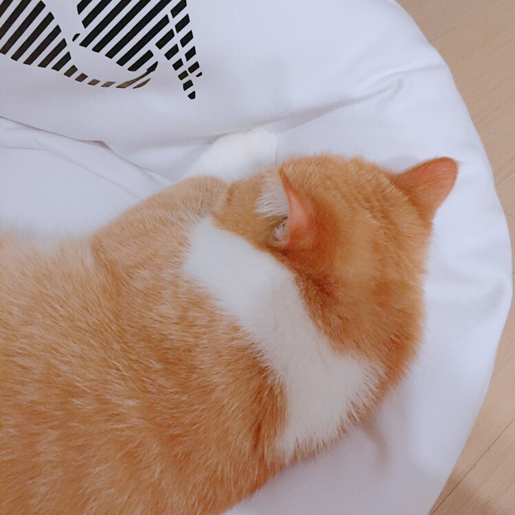 미유컴퍼니 이미지