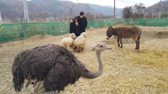 사랑해체험마을 이미지