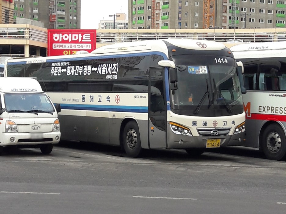 대성상운 이미지