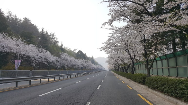 세화여자고등학교매점 이미지