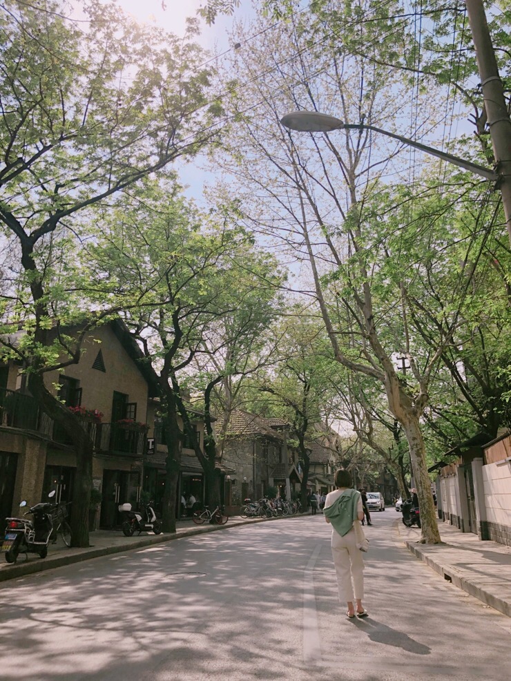 그린세이프 이미지