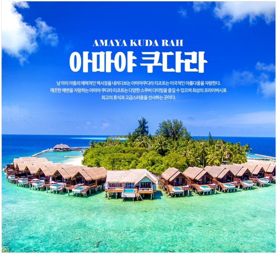 야쿠 이미지