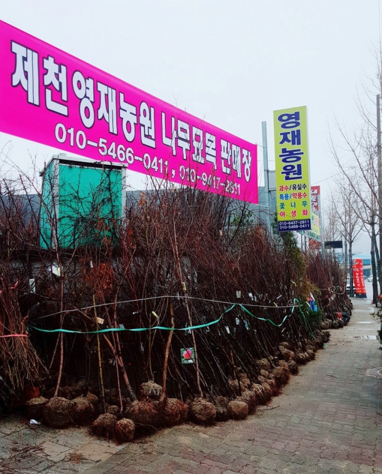 영재농원 이미지
