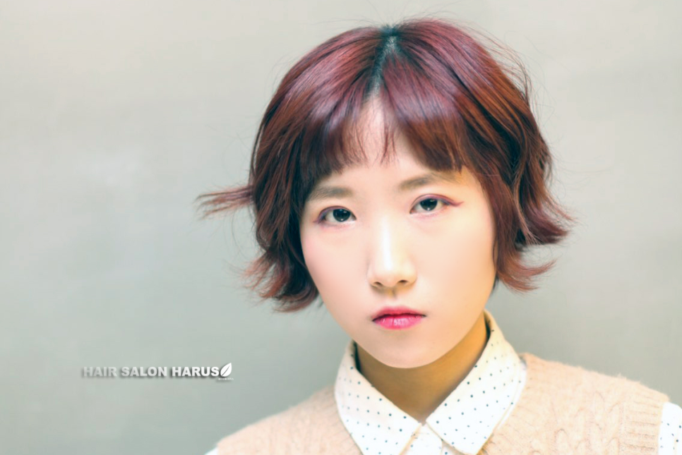 하루스(HARUS) 이미지