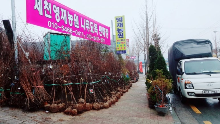 영재농원 이미지