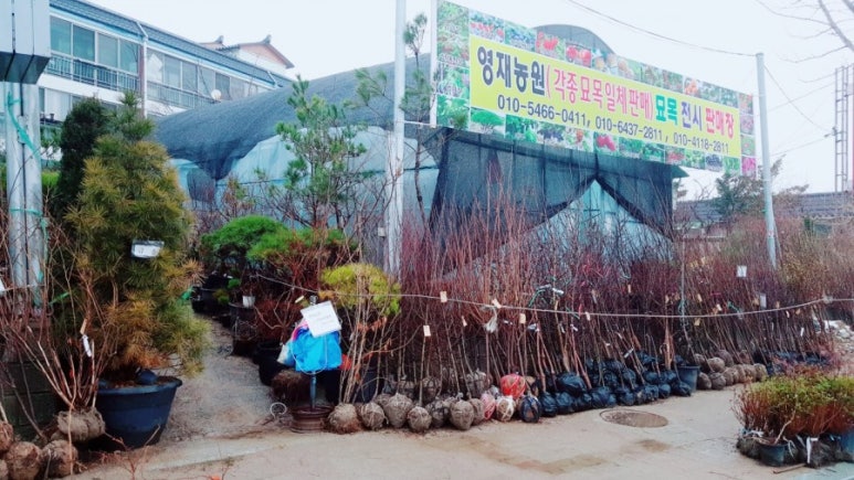 영재농원 이미지