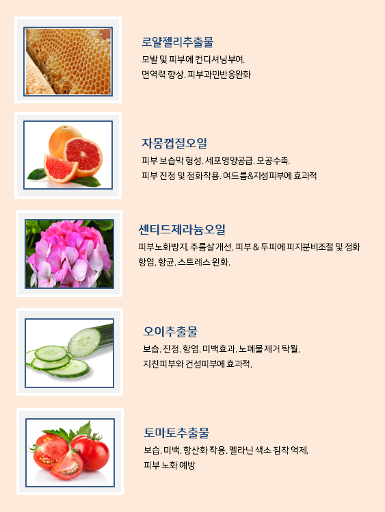 줄리스 이미지