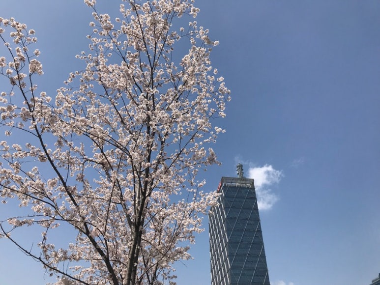 밀영어행정사사무소 이미지