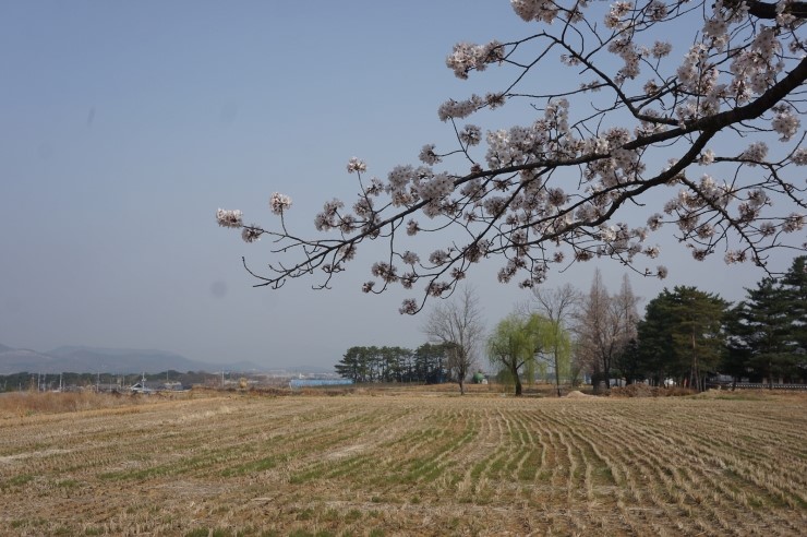 경주미소 이미지