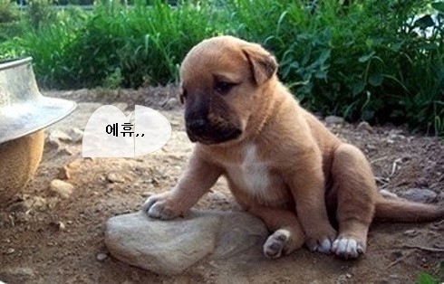 기계주단 이미지