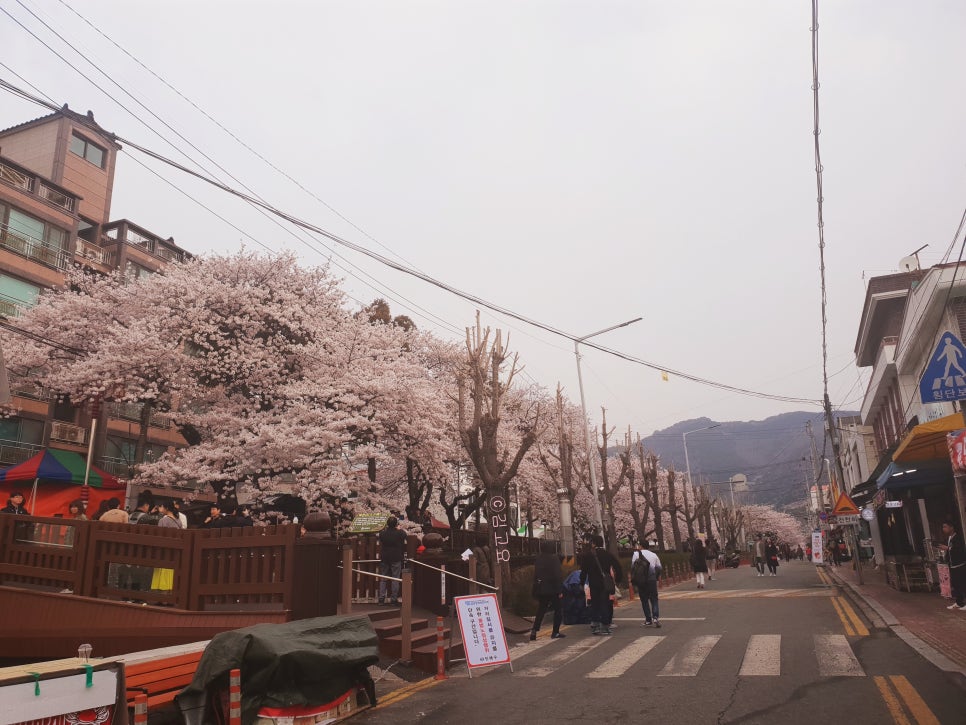 PC토랑진해 이미지