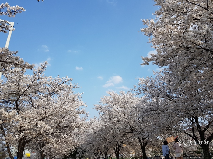 이디야구미금오산점 이미지