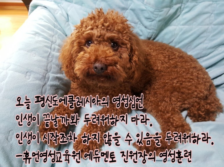 다울에듀 이미지