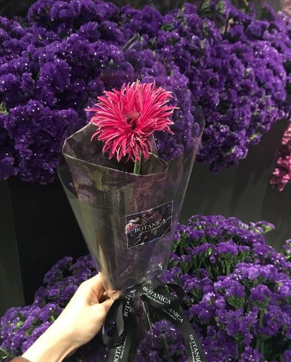 보타니카 이미지
