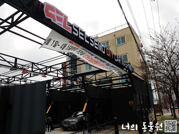 서산셀세모 이미지