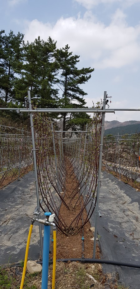 새순슈퍼 이미지