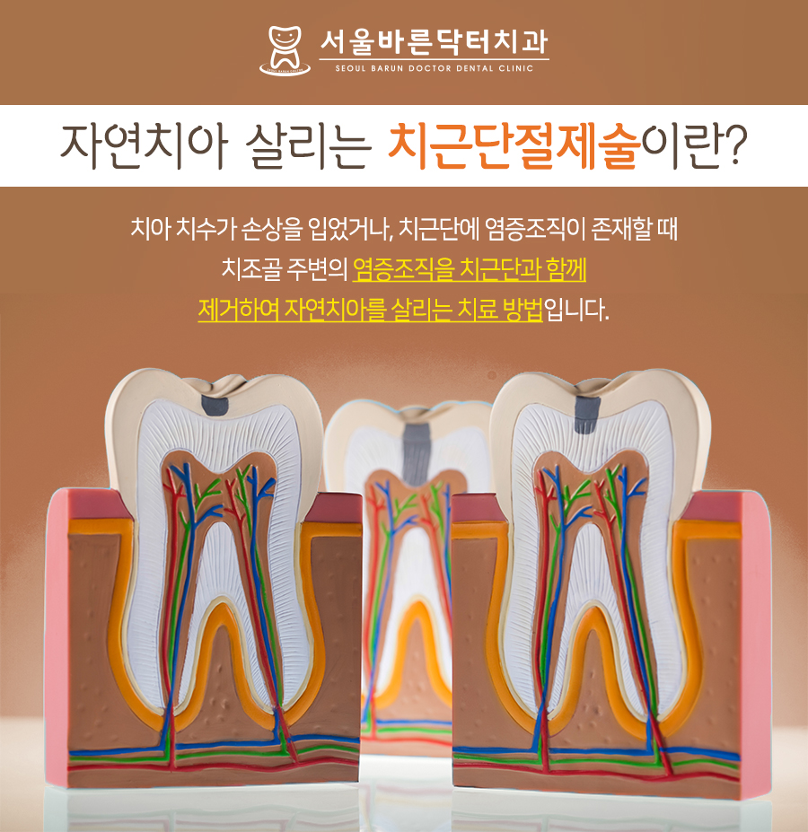 서울바른닥터치과의원 이미지