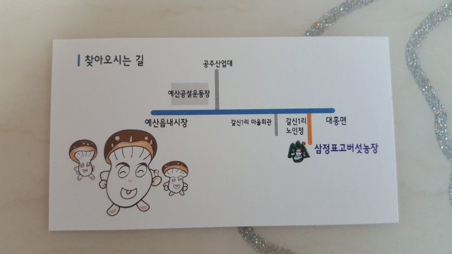 팜바이향 이미지