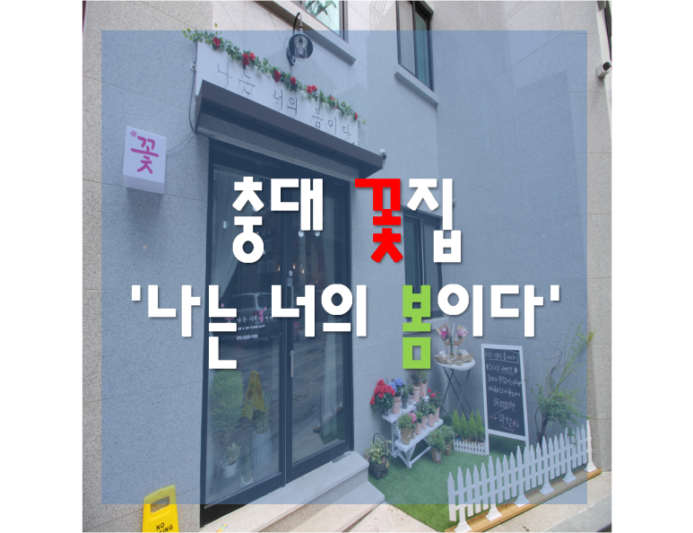 나는너의봄이다 이미지