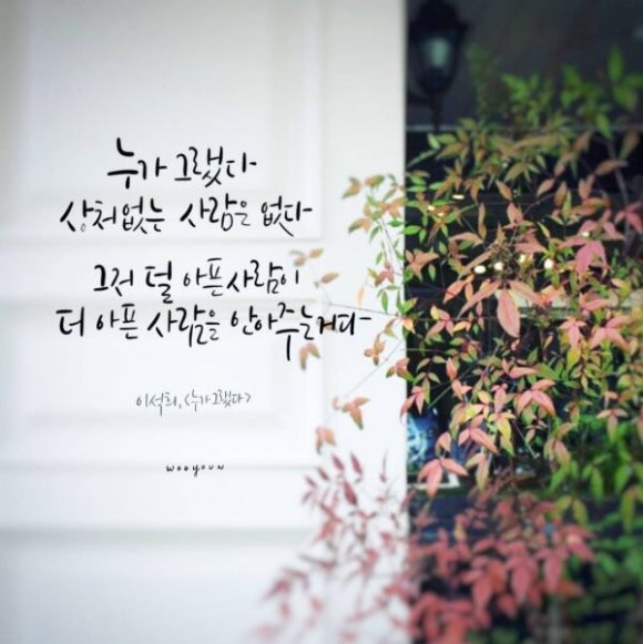민경이네 다육 이미지