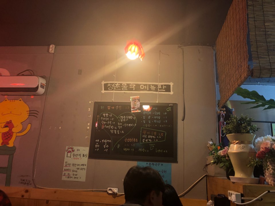 청춘물약 이미지