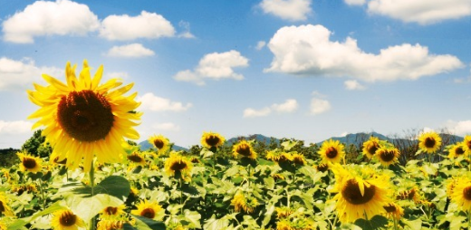 씨앤씨뮤직스튜디오 이미지