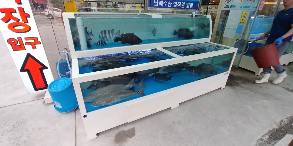 24시팔도맛집 이미지