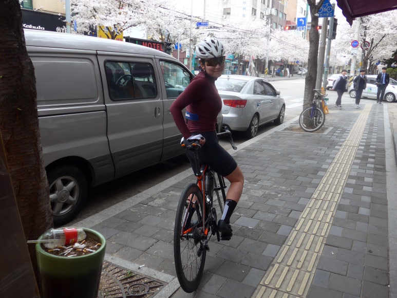 피세이 이미지
