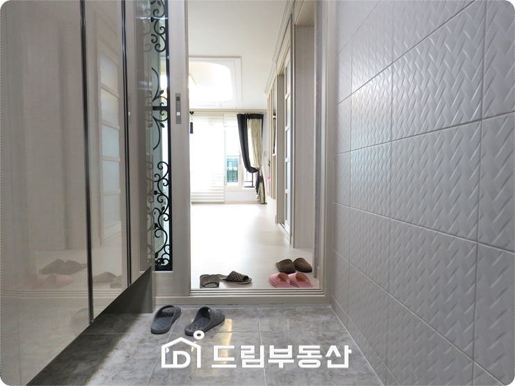 비비드주 이미지