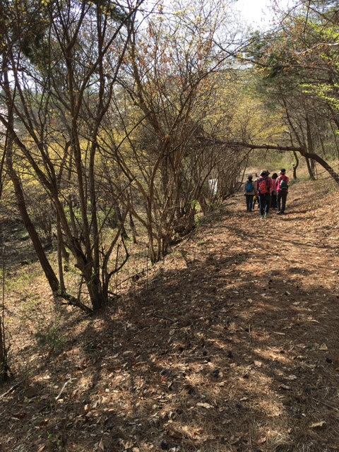 도코로 이미지