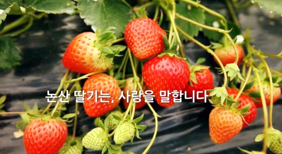 이루리농장 이미지