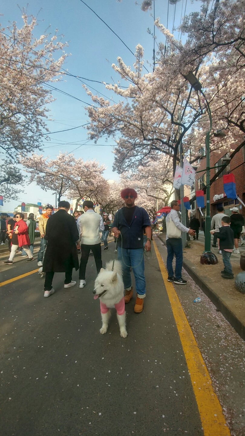봄봄봄 이미지
