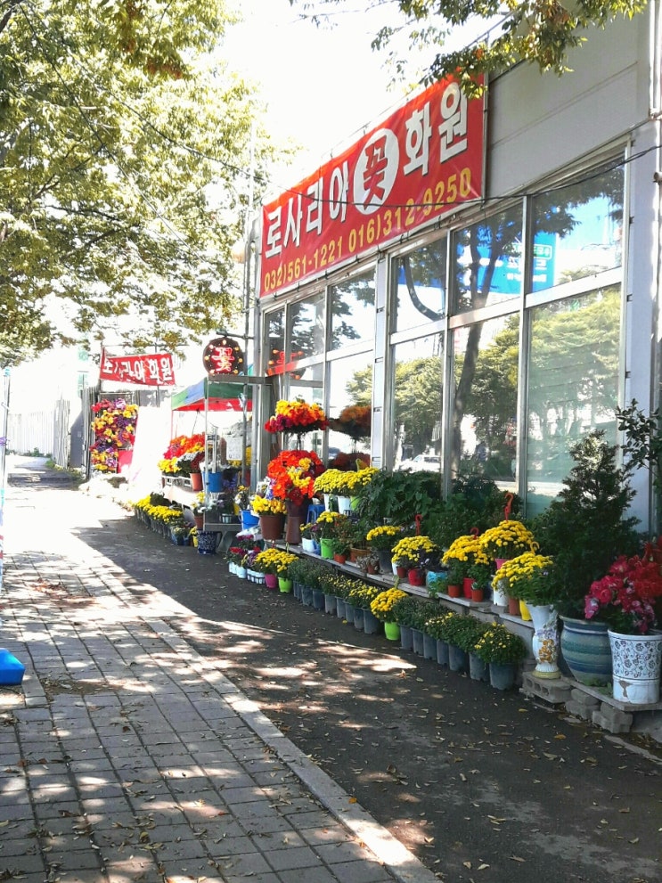 금잔디화원 이미지