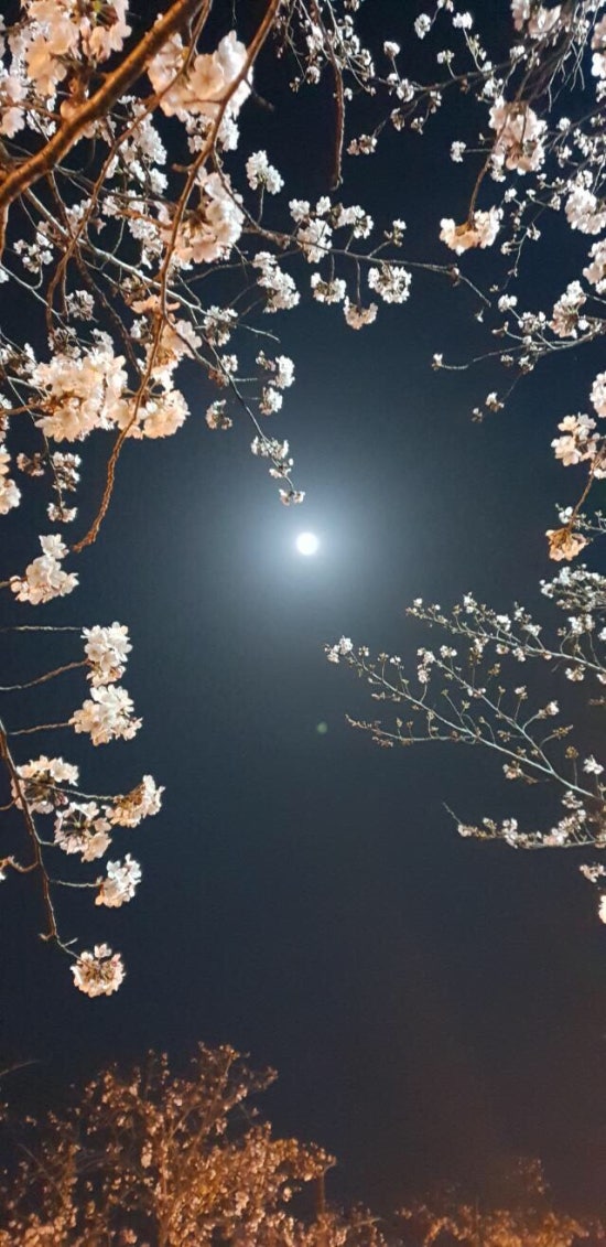 리타헤어 이미지