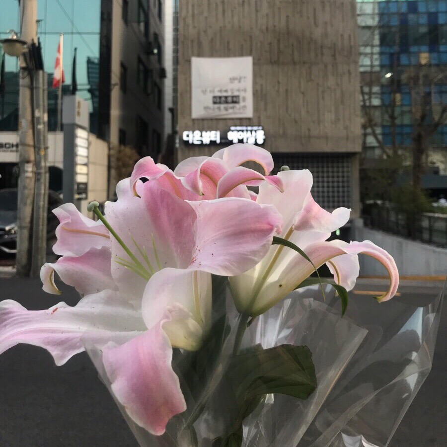 백합헤어샵 이미지