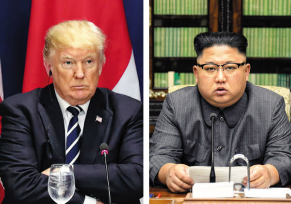 푸른종합개발 이미지