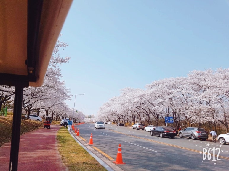 (주)여행장군 이미지