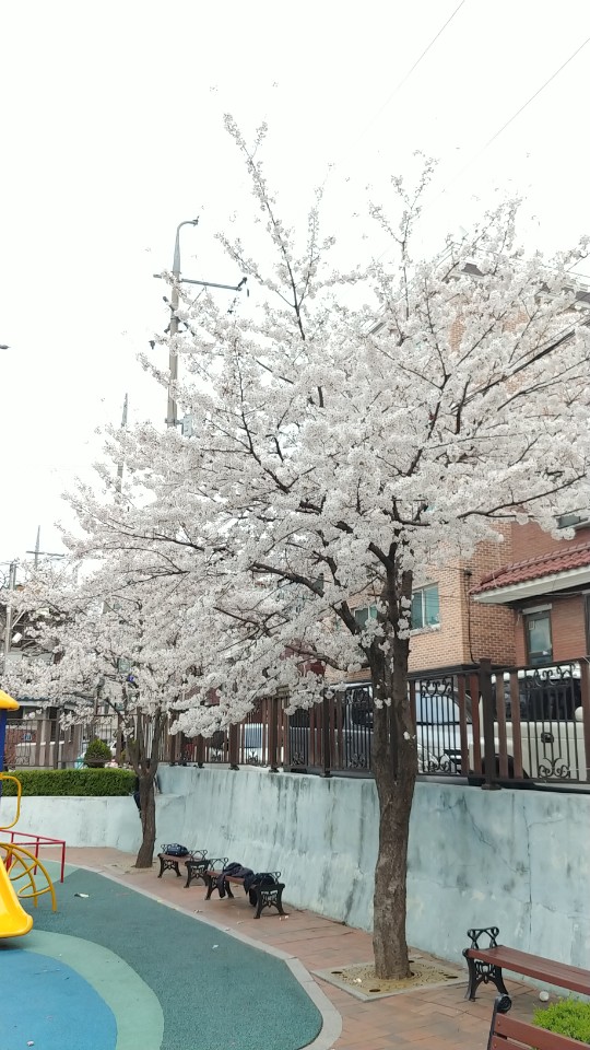 옥계어린이집 이미지