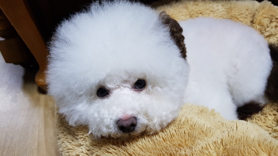 드라이세상 이미지