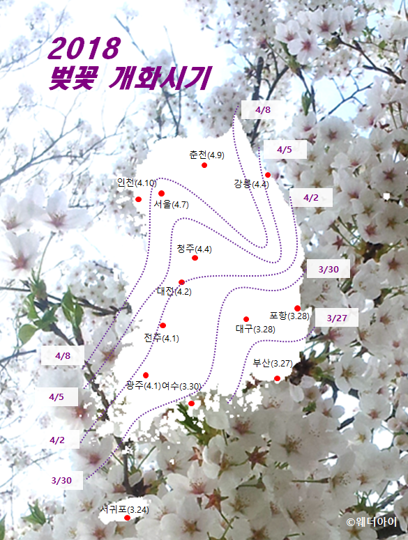 남부B2B 이미지
