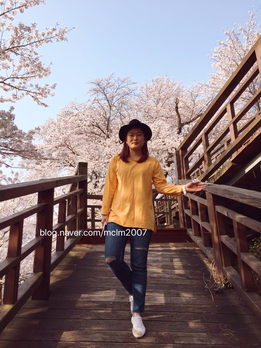 명다원 이미지