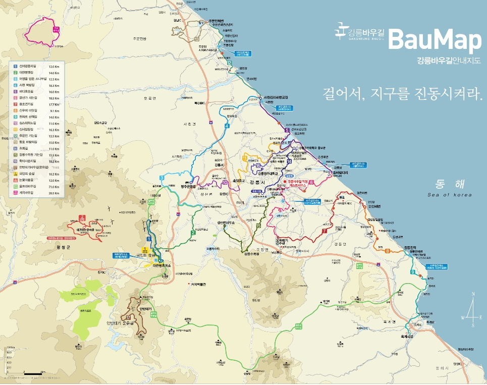 (사)강릉바우길 이미지