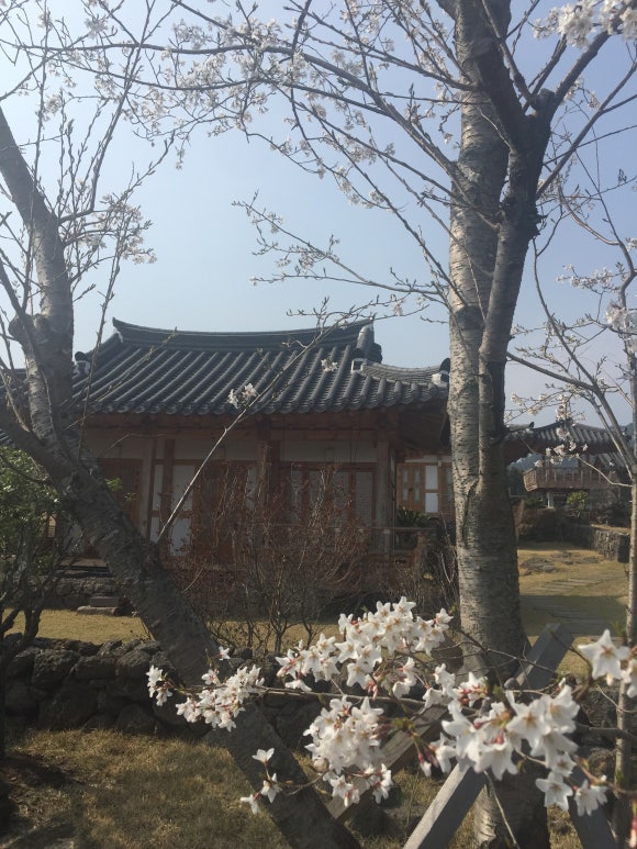 남극노인성휴양펜션 이미지