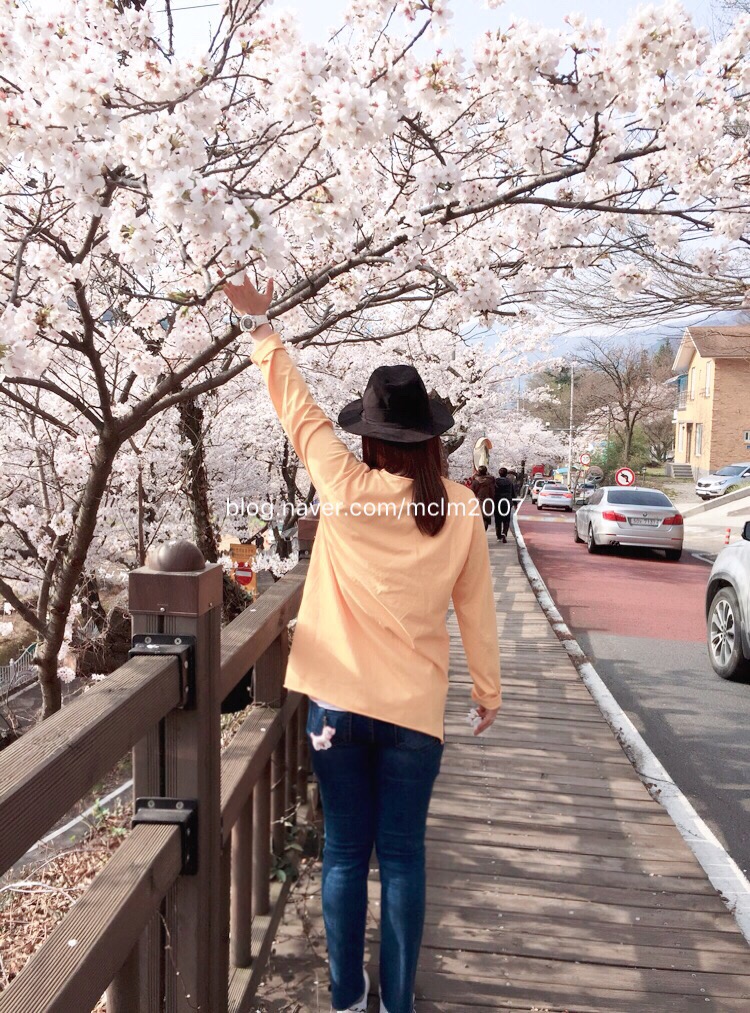명다원 이미지
